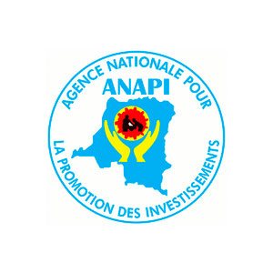 bns-ANAPI