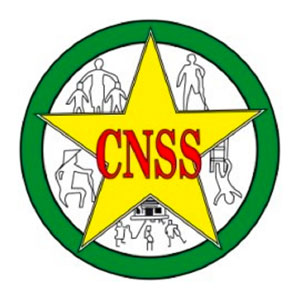 bns-CNSS