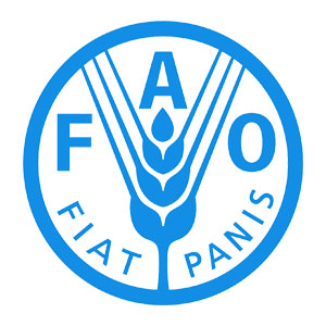 bns-FAO
